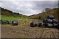 Silage bales near Pipe Aston in SY8 2HG