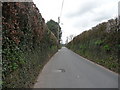 Tiverton : Tidcombe Lane in EX16 4LH