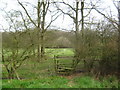 Stile near Godfrey Wood in TN26 3RA