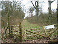 Footpath through Godfrey Wood in TN26 3QZ
