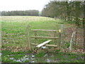 Footpath junction near Godfrey Wood in TN26 3QZ