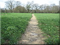 Footpath to Woodchurch in TN26 3RF