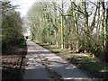 View west along Rookery Lane, Topcroft in NR35 2BT