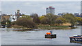 River Thames and Chiswick Eyot in W4 2AU
