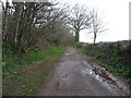 Tiverton : Public Footpath in EX16 4QP