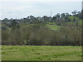 Looking south west to Hognaston in Hognaston