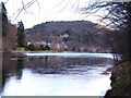 Upstream from Dunkeld Bridge in PH8 0AW