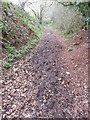 Tiverton : Muddy Footpath in EX16 4QP