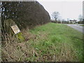 The Greenhead milestone in its setting beside the A52 in ST10 2EJ