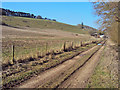 Farm track at Chapel Farm in HR1 4TD