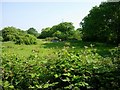 Pasture and scrub in SO40 4WW