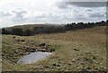 Boggy spot at the top of Doons in DG3 4ND