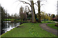 Beddington Park: River Wandle in SM6 7DJ