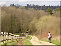 Towards Boyles Farm in RH19 4NF