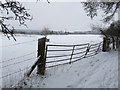 Grateley - Snowy Field in SP11 8JP