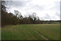 Footpath heading south to Forge Farm in TN4 0UL