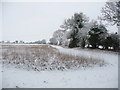 Grateley - Snowy Field in SP11 8TA