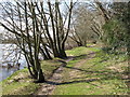 Footpath on the north bank of the River Tyne in NE45 5AU