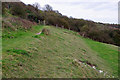 Footpath up Mill Hill in BN43 5FD