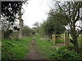 Knowl Hill Bridleway Circuit in RG10 0JA