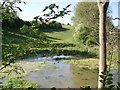 Pond at bottom of dry valley in BA5 3HA