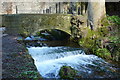 Bridge and waterfall by the boundary of Kearsney Abbey in CT16 3DZ