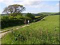 Footpath to Lower Farm, Long Bredy in DT2 9HP