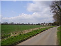 Lane from Claxby. in Claxby