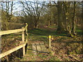 Footbridge near Great Doney Wood in TN26 3QT