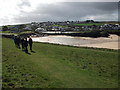 Walking the coast path at Trevone in PL28 8FU