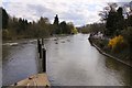 The River Thames looking downstream from Boulter's Lock in SL6 8PE