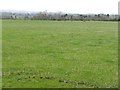 Pasture at Jerusalem Farm in EH34 5BJ