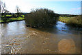 River Stour in spate in BH21 1HP