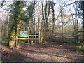 Footpath into Stockshill Wood in TN25 7BL