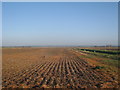 Ploughed Field off Newchurch Road in TN26 2QD