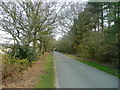 Straight New Forest lane in BH23 8EX