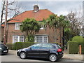 Front garden cabbage trees, West Acton in W3 0LN