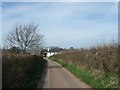 Road to Courtbrook Farm in EX3 0NU