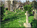 Churchyard, St Peter and All Hallow's, Huntspill in TA9 3RL