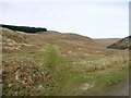 Path to Brough Law above Bulby's Wood in NE66 4LT