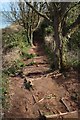 Steep and Muddy Path in TQ5 9ET
