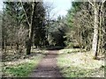 Broadwood woodland path network in G68 9EF