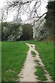 Path 285 and the London Loop in RM14 1XA