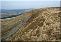 The upper western slopes of Mynydd Pwll-yr-Iwrch (Mynydd Bach) in Maesteg Community