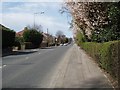 A177 In Springtime in TS19 0QA
