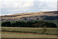 View to Hill of Alyth from West Tullyfergus in PH11 8JY
