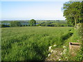 Farmland Looking Towards Ogston Reservoir in DE55 6DE
