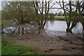 Muddy riverbank in OX1 5QX