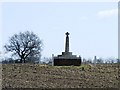 St Edmund's Monument in Heckfield Green