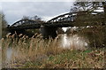 The Thames at Nuneham Railway Bridge in OX14 3NG